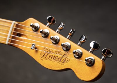Pala Clavijero Tero