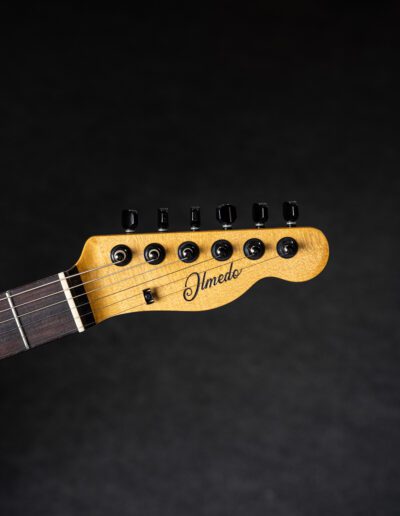 Pala Clavijero Tero