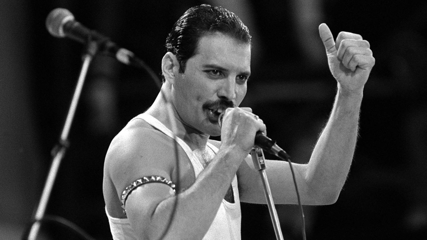 Freddie Mercury Freddie Mercury